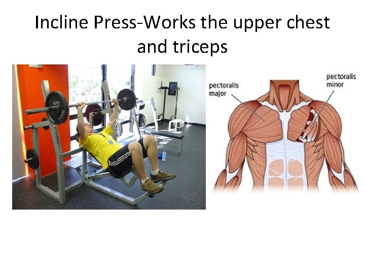 Incline Press-Works the upper chest and triceps 