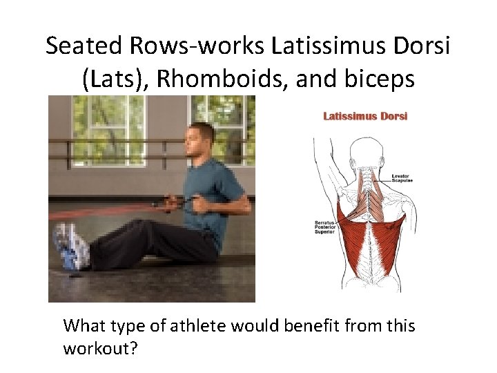 Seated Rows-works Latissimus Dorsi (Lats), Rhomboids, and biceps What type of athlete would benefit