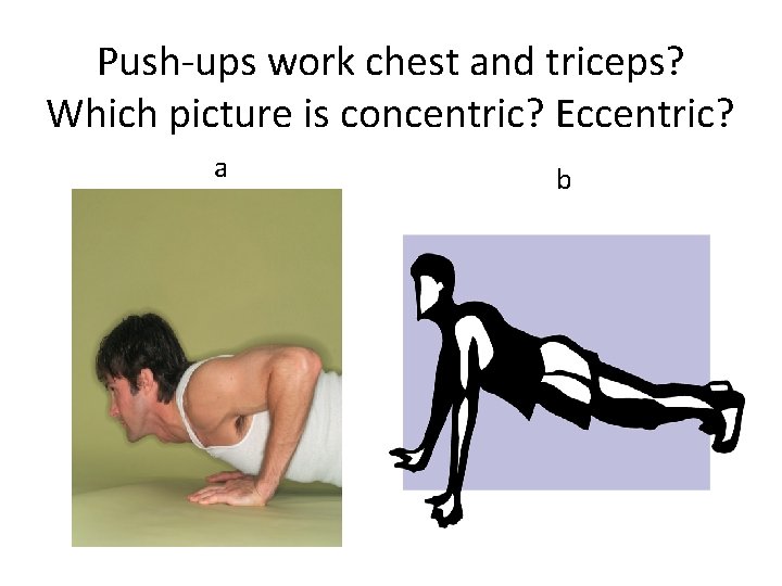 Push-ups work chest and triceps? Which picture is concentric? Eccentric? a b 