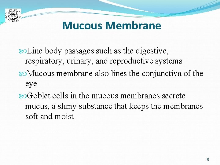 Mucous Membrane Line body passages such as the digestive, respiratory, urinary, and reproductive systems