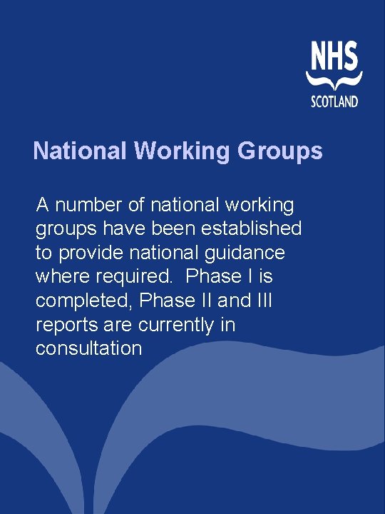 National Working Groups A number of national working groups have been established to provide National Working Groups A number of national working groups have been established to provide