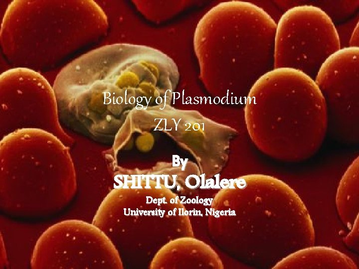 Biology of Plasmodium ZLY 201 By SHITTU, Olalere Dept. of Zoology University of Ilorin,