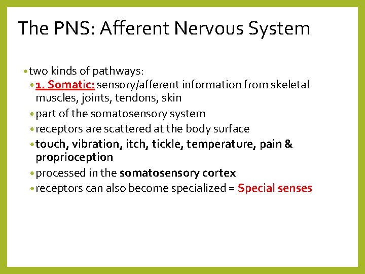 The PNS: Afferent Nervous System • two kinds of pathways: • 1. Somatic: sensory/afferent