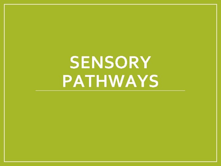 SENSORY PATHWAYS 