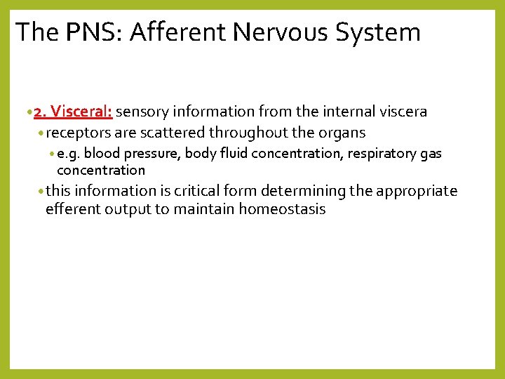 The PNS: Afferent Nervous System • 2. Visceral: sensory information from the internal viscera