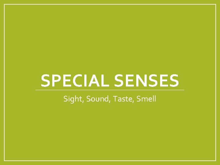 SPECIAL SENSES Sight, Sound, Taste, Smell 