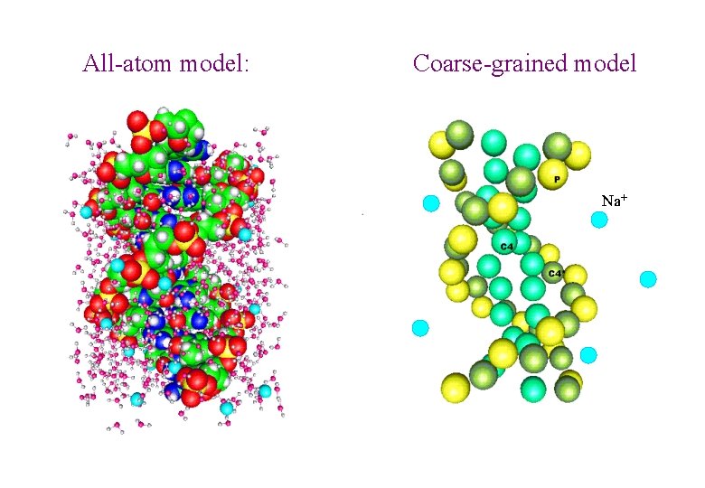 All-atom model: Coarse-grained model Na+ All-atom model: Coarse-grained model Na+