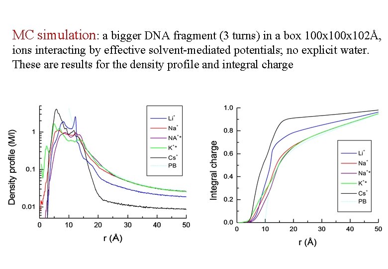 MC simulation: a bigger DNA fragment (3 turns) in a box 100 x 102Å, MC simulation: a bigger DNA fragment (3 turns) in a box 100 x 102Å,