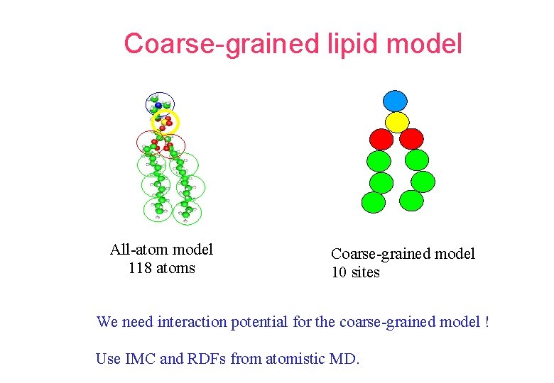 Coarse-grained lipid model All-atom model 118 atoms Coarse-grained model 10 sites We need interaction Coarse-grained lipid model All-atom model 118 atoms Coarse-grained model 10 sites We need interaction