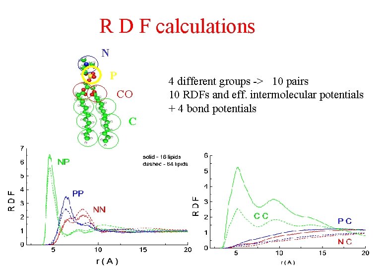 R D F calculations N P CO C 4 different groups -> 10 pairs R D F calculations N P CO C 4 different groups -> 10 pairs