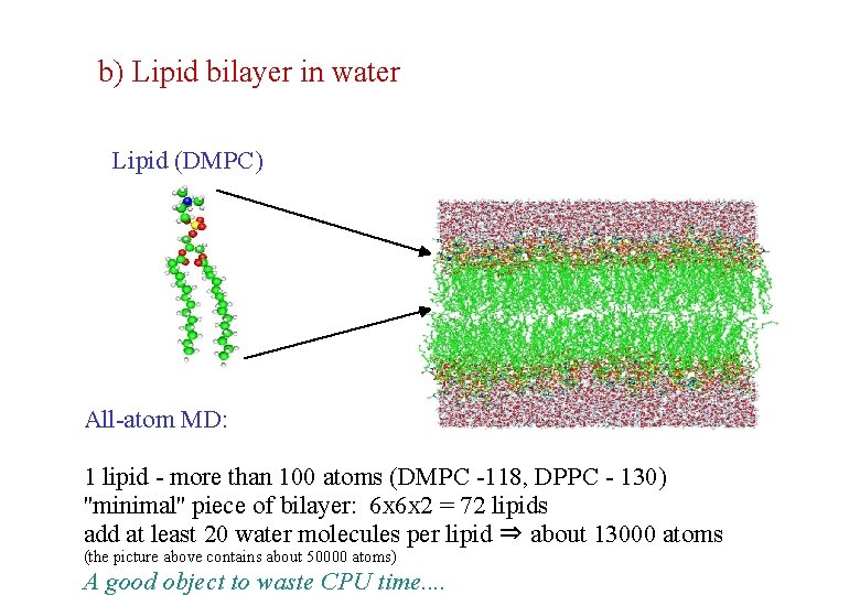b) Lipid bilayer in water Lipid (DMPC) All-atom MD: 1 lipid - more than b) Lipid bilayer in water Lipid (DMPC) All-atom MD: 1 lipid - more than