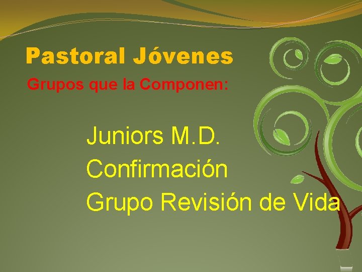 Pastoral Jóvenes Grupos que la Componen: Juniors M. D. Confirmación Grupo Revisión de Vida