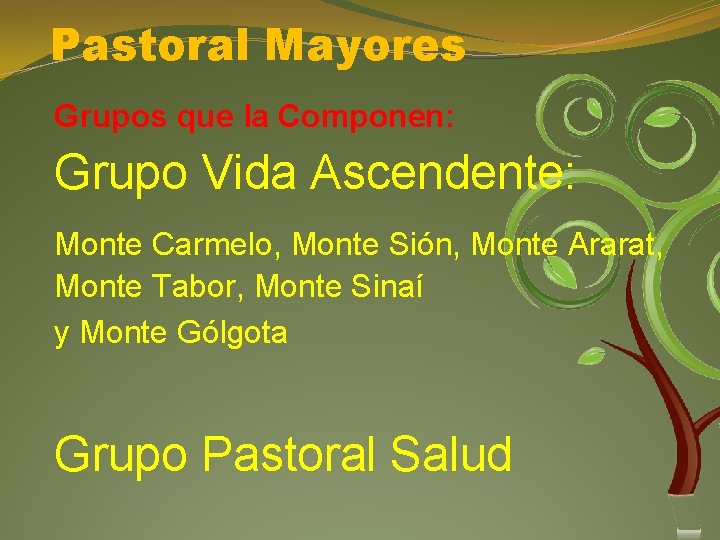 Pastoral Mayores Grupos que la Componen: Grupo Vida Ascendente: Monte Carmelo, Monte Sión, Monte