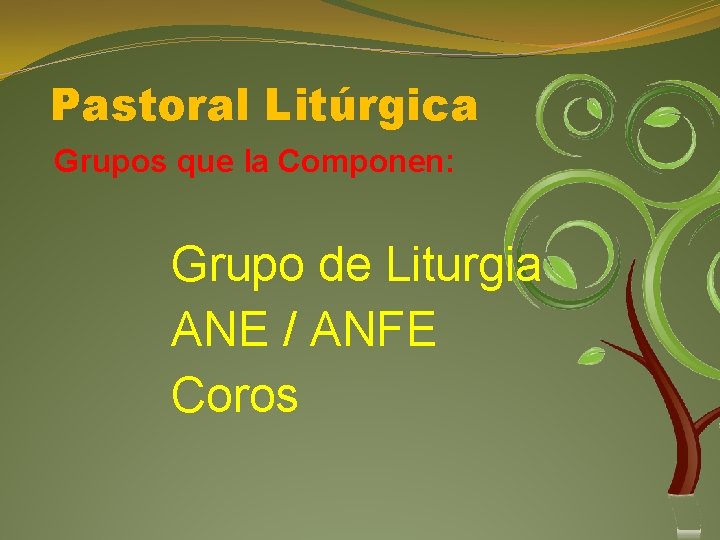 Pastoral Litúrgica Grupos que la Componen: Grupo de Liturgia ANE / ANFE Coros 