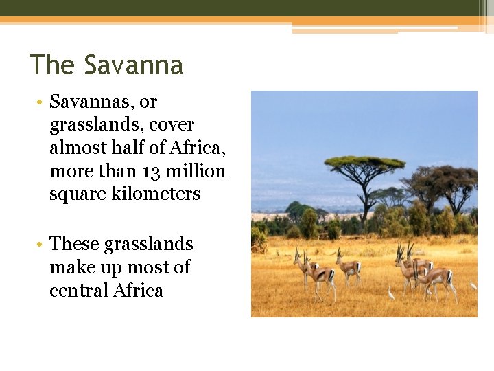 The Savanna • Savannas, or grasslands, cover almost half of Africa, more than 13 The Savanna • Savannas, or grasslands, cover almost half of Africa, more than 13