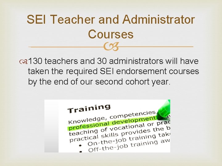 SEI Teacher and Administrator Courses 130 teachers and 30 administrators will have taken the