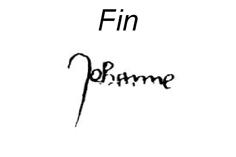 Fin 