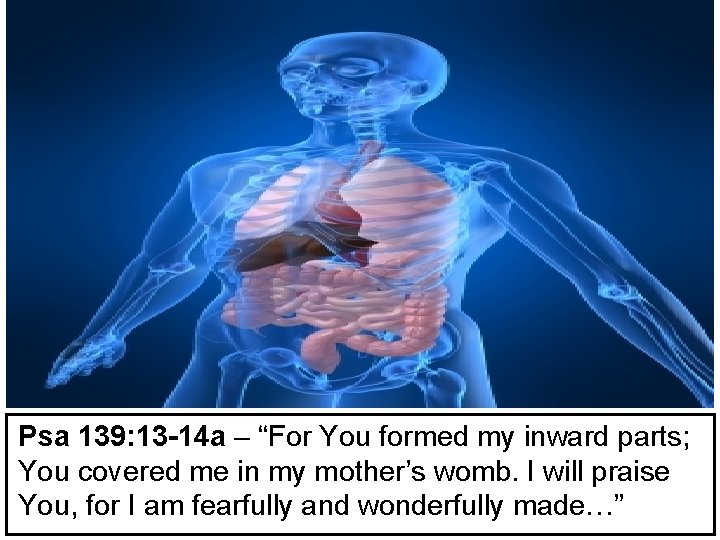 Psa 139: 13 -14 a – “For You formed my inward parts; You covered