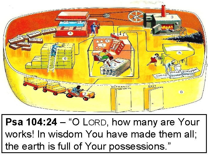 Psa 104: 24 – “O LORD, how many are Your works! In wisdom You