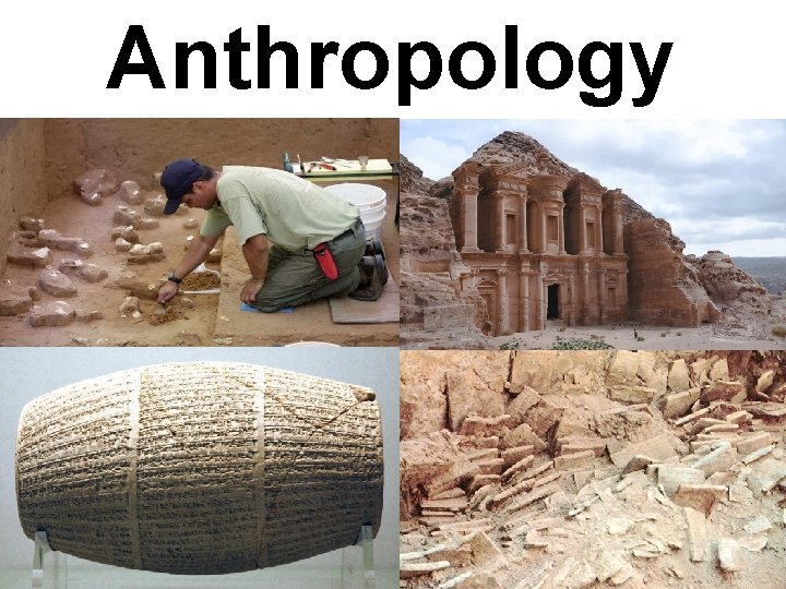 Anthropology 