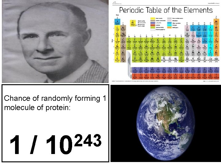 Chance of randomly forming 1 molecule of protein: 1/ 243 10 