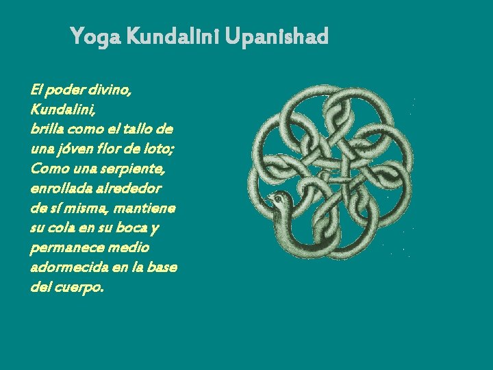 Yoga Kundalini Upanishad El poder divino, Kundalini, brilla como el tallo de una jóven