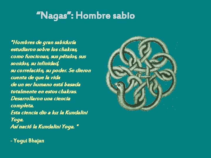 “Nagas”: Hombre sabio "Hombres de gran sabiduría estudiaron sobre los chakras, como funcionan, sus