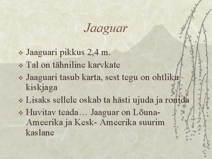 Jaaguari pikkus 2, 4 m. v Tal on tähniline karvkate v Jaaguari tasub karta,