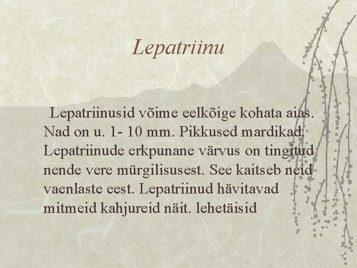 Lepatriinusid võime eelkõige kohata aias. Nad on u. 1 - 10 mm. Pikkused mardikad.