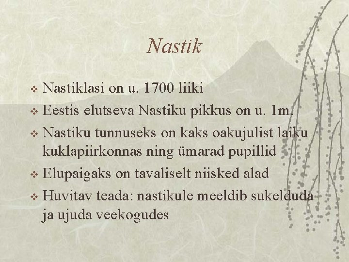 Nastiklasi on u. 1700 liiki v Eestis elutseva Nastiku pikkus on u. 1 m.