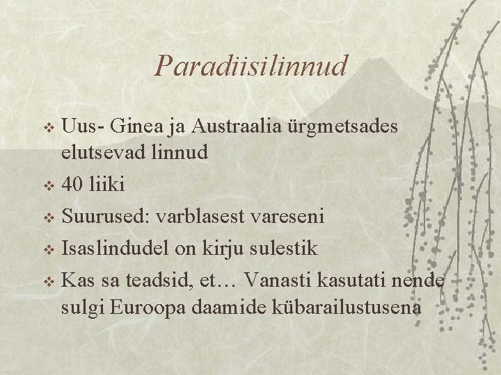 Paradiisilinnud Uus- Ginea ja Austraalia ürgmetsades elutsevad linnud v 40 liiki v Suurused: varblasest