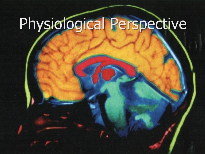 Physiological Perspective 