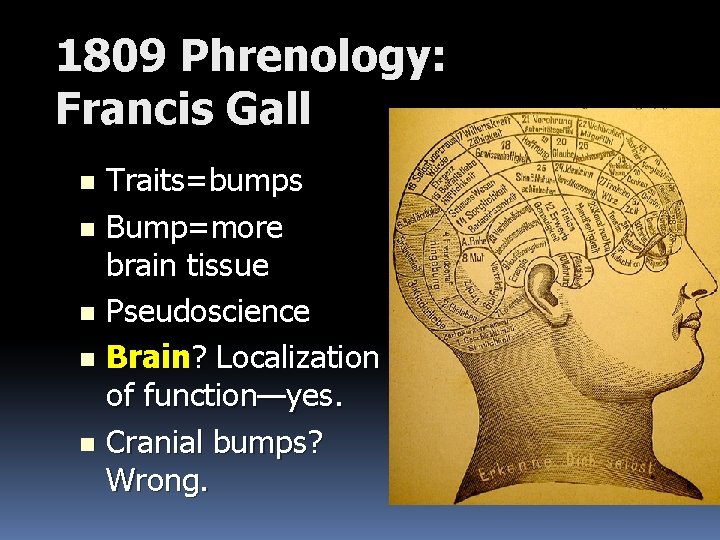 1809 Phrenology: Francis Gall Traits=bumps n Bump=more brain tissue n Pseudoscience n Brain? Localization