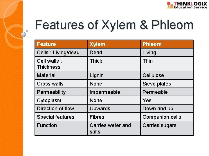 Features of Xylem & Phleom Feature Xylem Phleom Cells : Living/dead Dead Living Cell