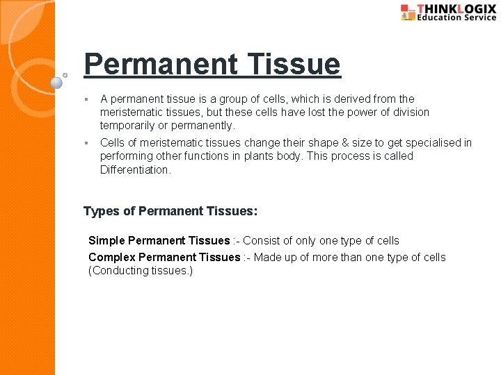 Permanent Tissue § A permanent tissue is a group of cells, which is derived