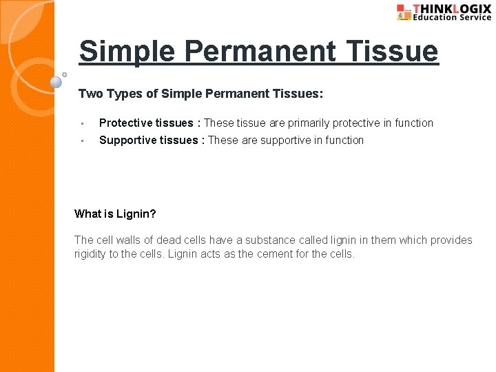 Simple Permanent Tissue Two Types of Simple Permanent Tissues: • Protective tissues : These