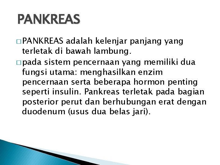 PANKREAS � PANKREAS adalah kelenjar panjang yang terletak di bawah lambung. � pada sistem