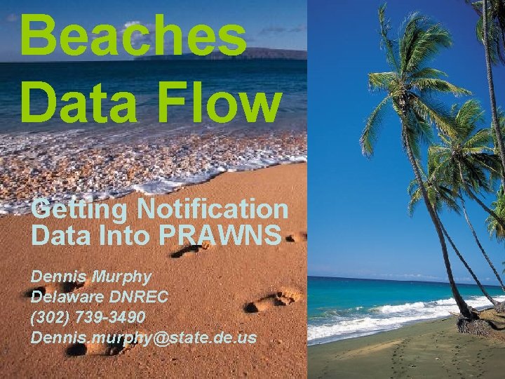 Beaches Data Flow Getting Notification Data Into PRAWNS Dennis Murphy Delaware DNREC (302) 739