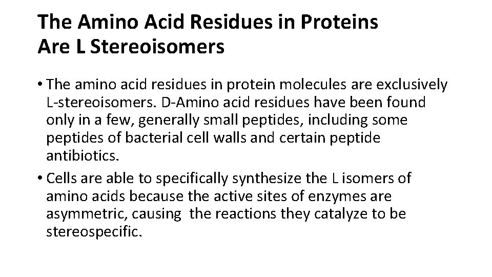 The Amino Acid Residues in Proteins Are L Stereoisomers • The amino acid residues