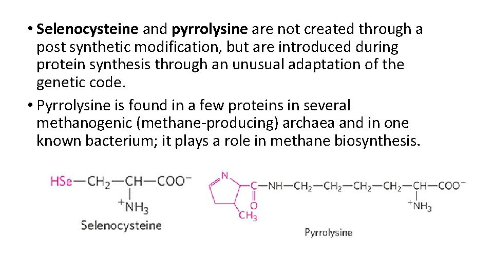  • Selenocysteine and pyrrolysine are not created through a post synthetic modification, but