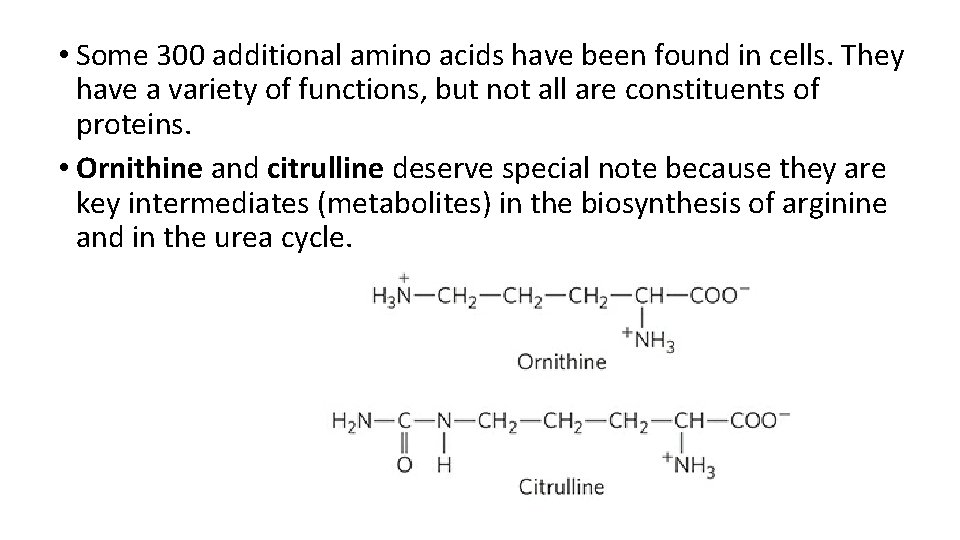  • Some 300 additional amino acids have been found in cells. They have