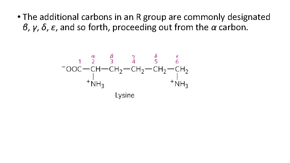  • The additional carbons in an R group are commonly designated β, γ,