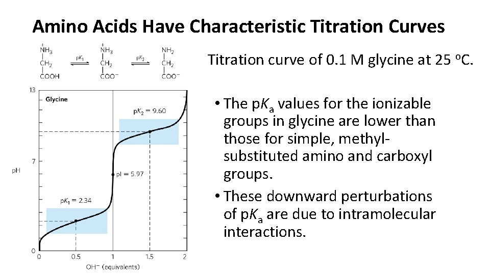 Amino Acids Have Characteristic Titration Curves Titration curve of 0. 1 M glycine at