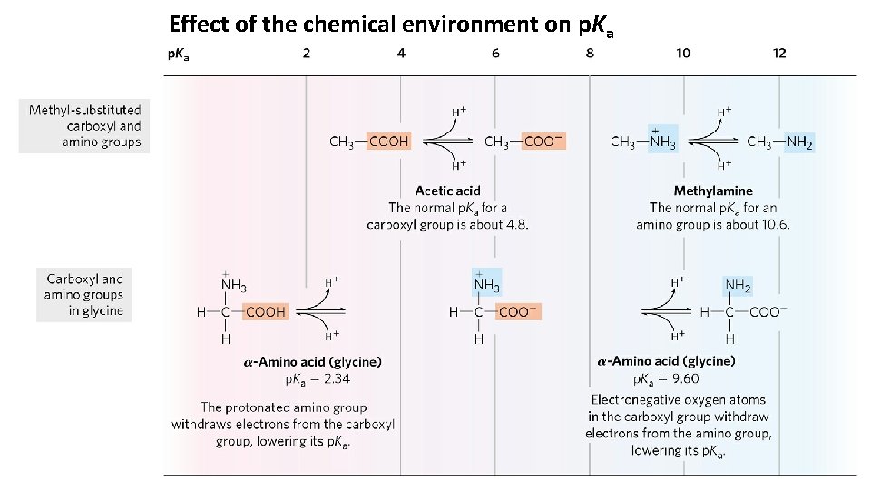Effect of the chemical environment on p. Ka 