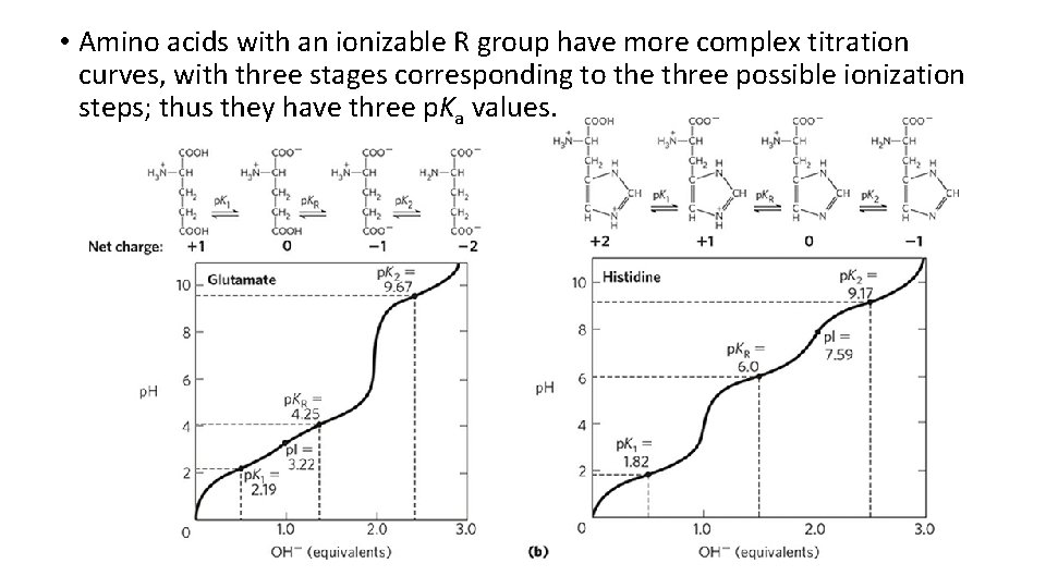  • Amino acids with an ionizable R group have more complex titration curves,