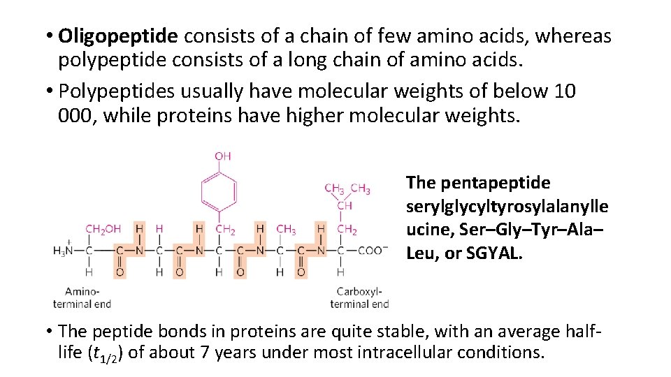  • Oligopeptide consists of a chain of few amino acids, whereas polypeptide consists