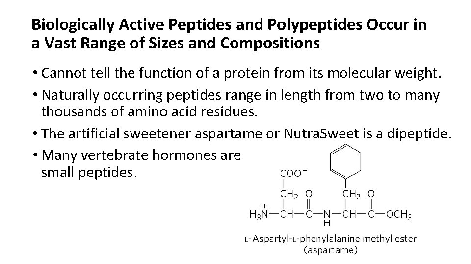 Biologically Active Peptides and Polypeptides Occur in a Vast Range of Sizes and Compositions