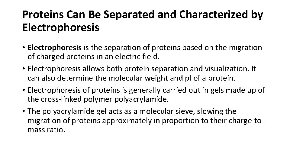 Proteins Can Be Separated and Characterized by Electrophoresis • Electrophoresis is the separation of