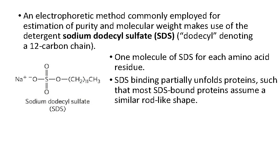  • An electrophoretic method commonly employed for estimation of purity and molecular weight