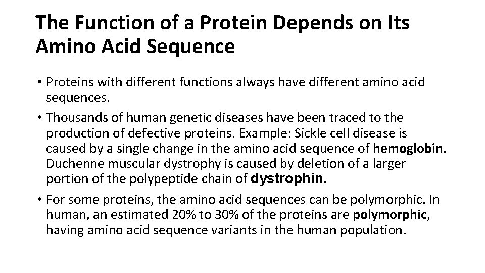 The Function of a Protein Depends on Its Amino Acid Sequence • Proteins with